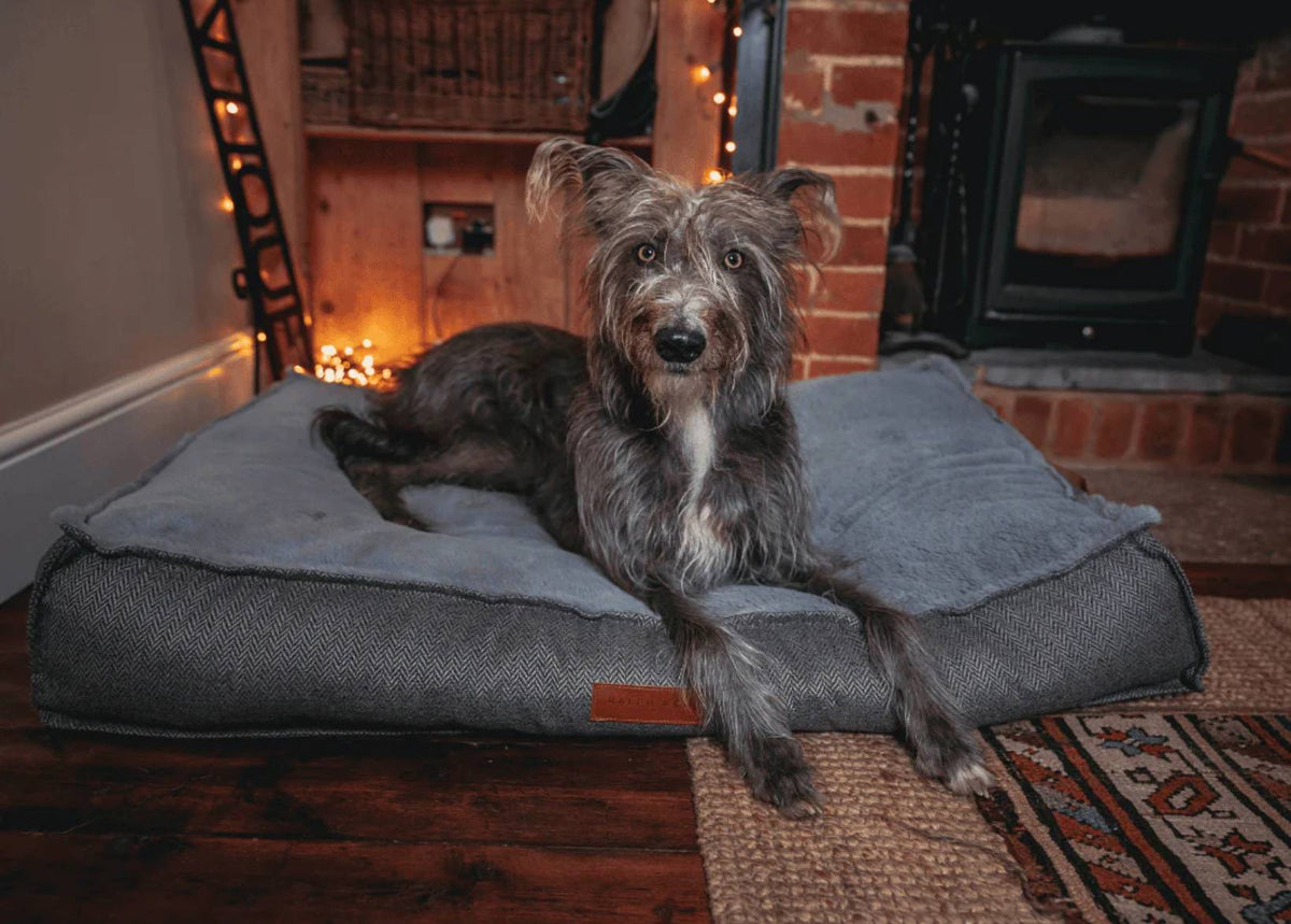 Scruffy grey dog lying on the Balmoral pillow bed in front of a lit fireplace