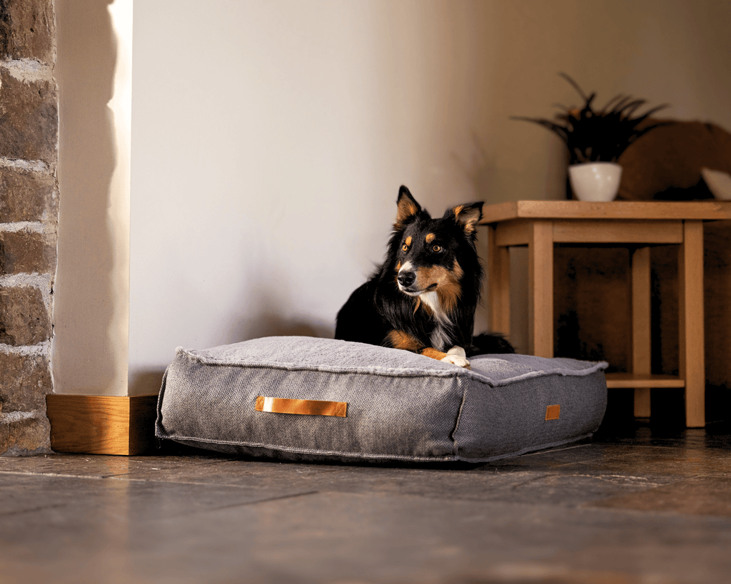 Tricolour Collie lying on the Balmoral pillow bed beside a stone fireplace