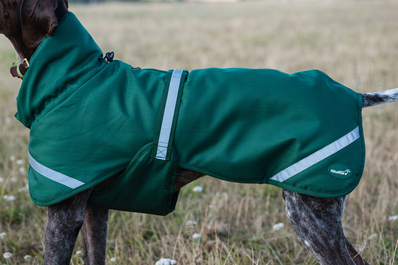 Luxe Waterproof Winter Dog Coat – Warm Padded Jacket, Hunter Green
