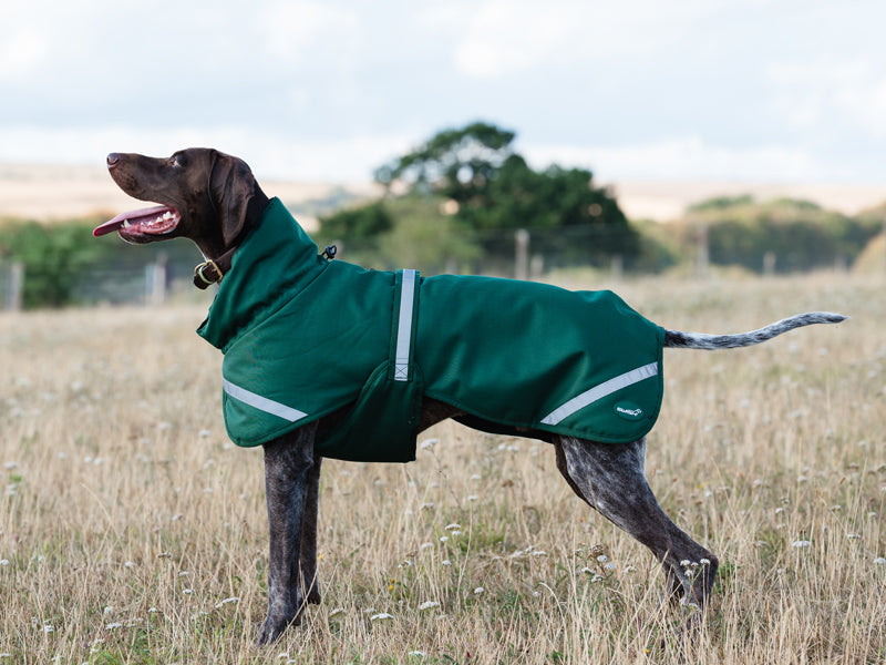 Luxe Waterproof Winter Dog Coat – Warm Padded Jacket, Hunter Green
