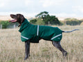 Luxe Waterproof Winter Dog Coat – Warm Padded Jacket, Hunter Green