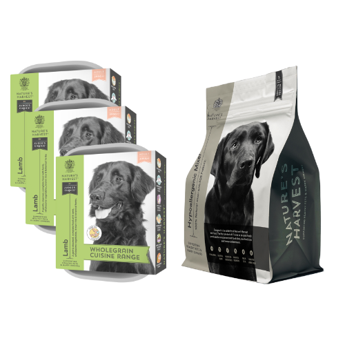 Three Lamb & Brown Rice wet dog food trays stacked beside a Nature's Harvest mixer bag