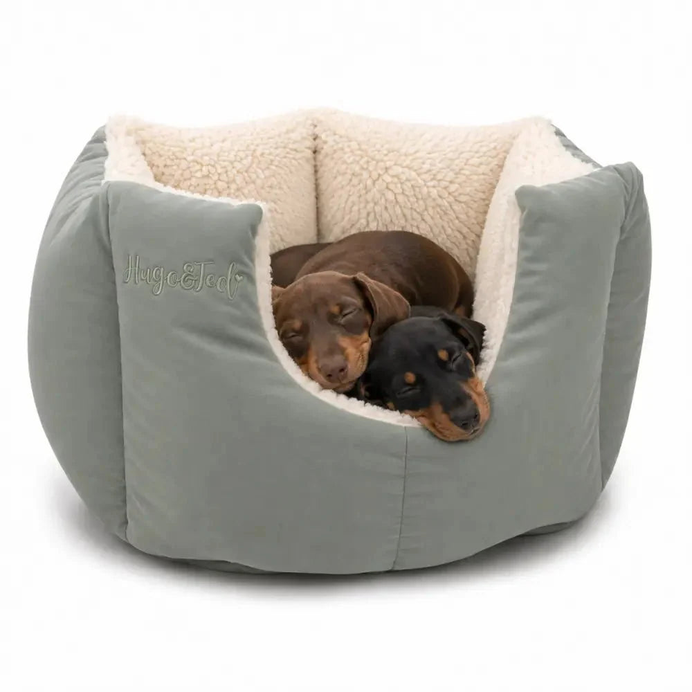 Two dachshunds curled up in a sage Large Waterproof Fortress Dog Bed