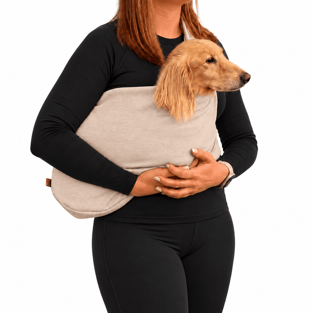 Long-haired dachshund carried in a natural beige Lite Sweatshirt Dog Sling