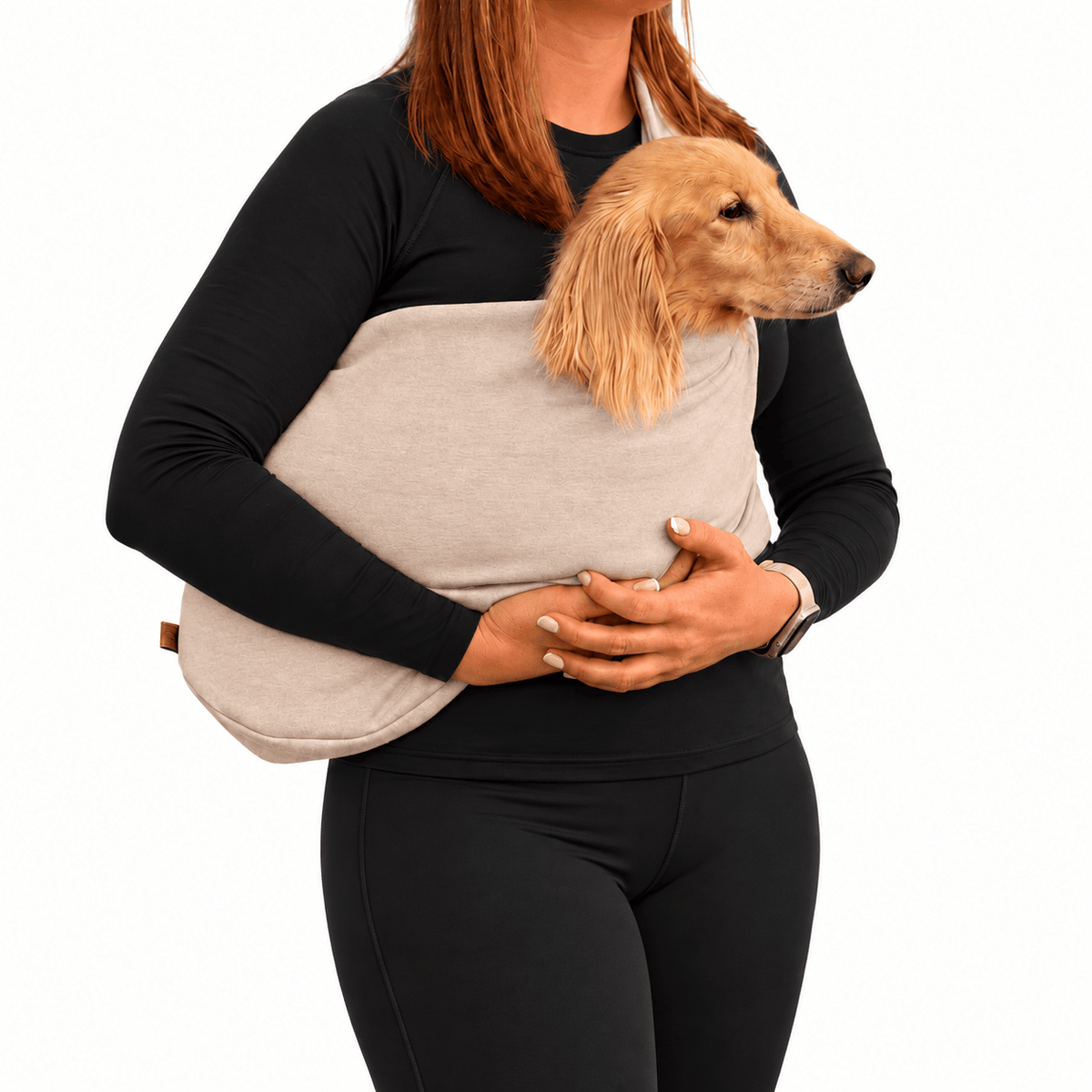 Long-haired dachshund carried in a natural beige Lite Sweatshirt Dog Sling