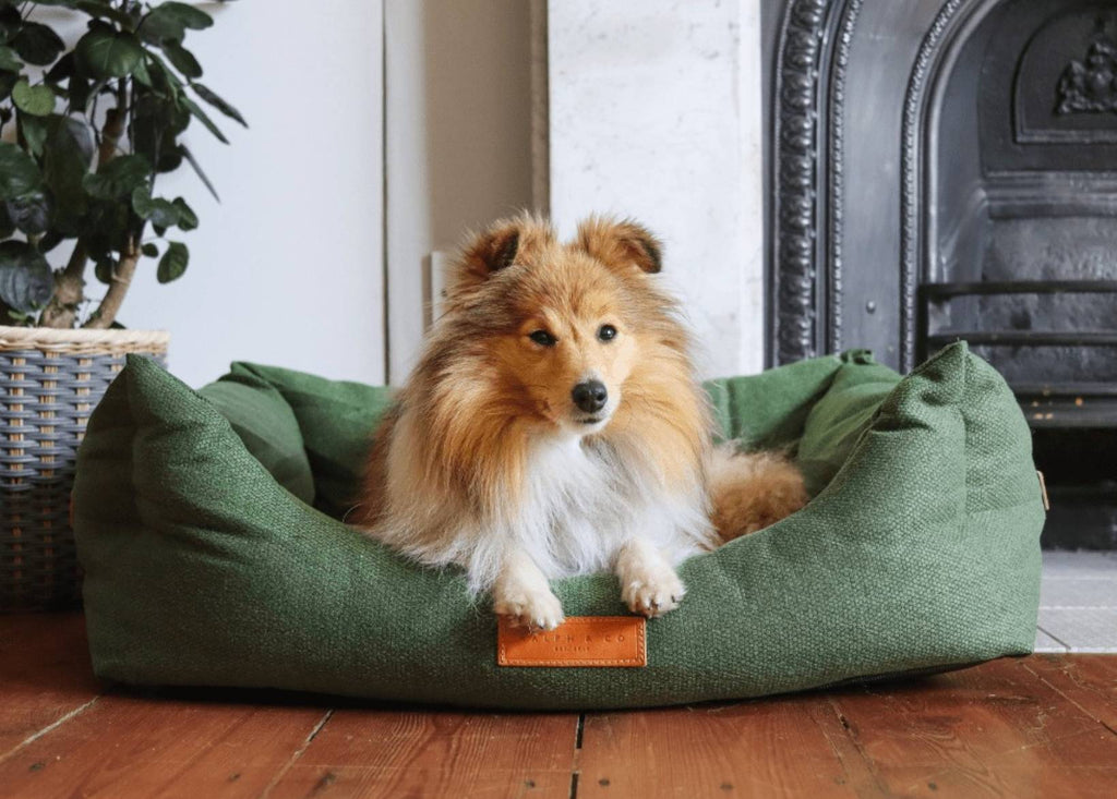 Shetland Sheepdog lying in the Richmond green bolster bed by a fireplace