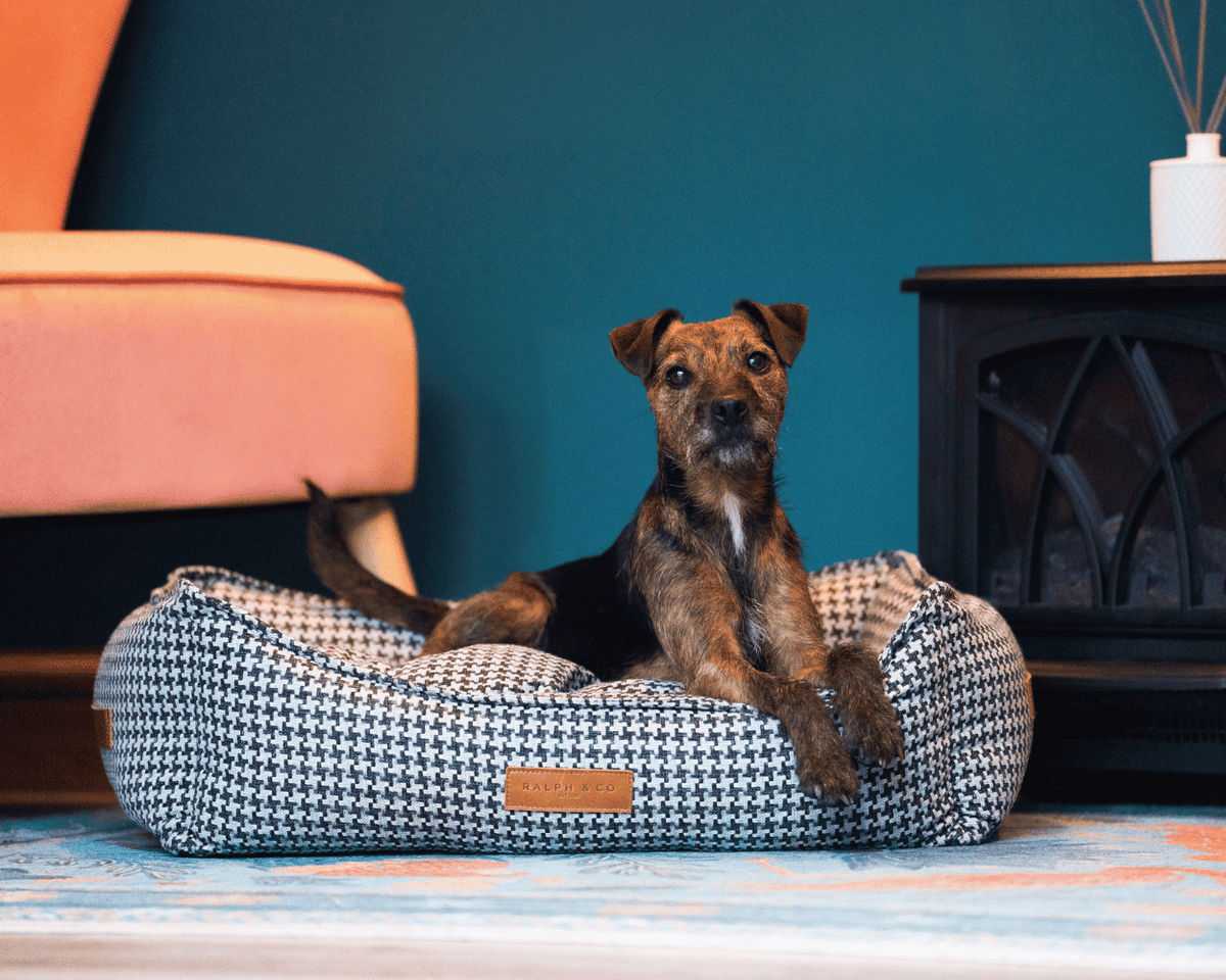 Kensington Houndstooth Bolster Dog Bed – Ralph & Co Luxury Nest Bed