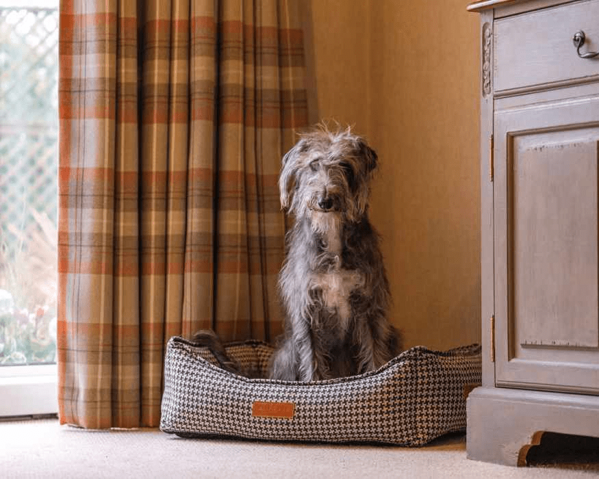 Scruffy grey dog sitting in the Kensington houndstooth bolster bed beside tartan curtains