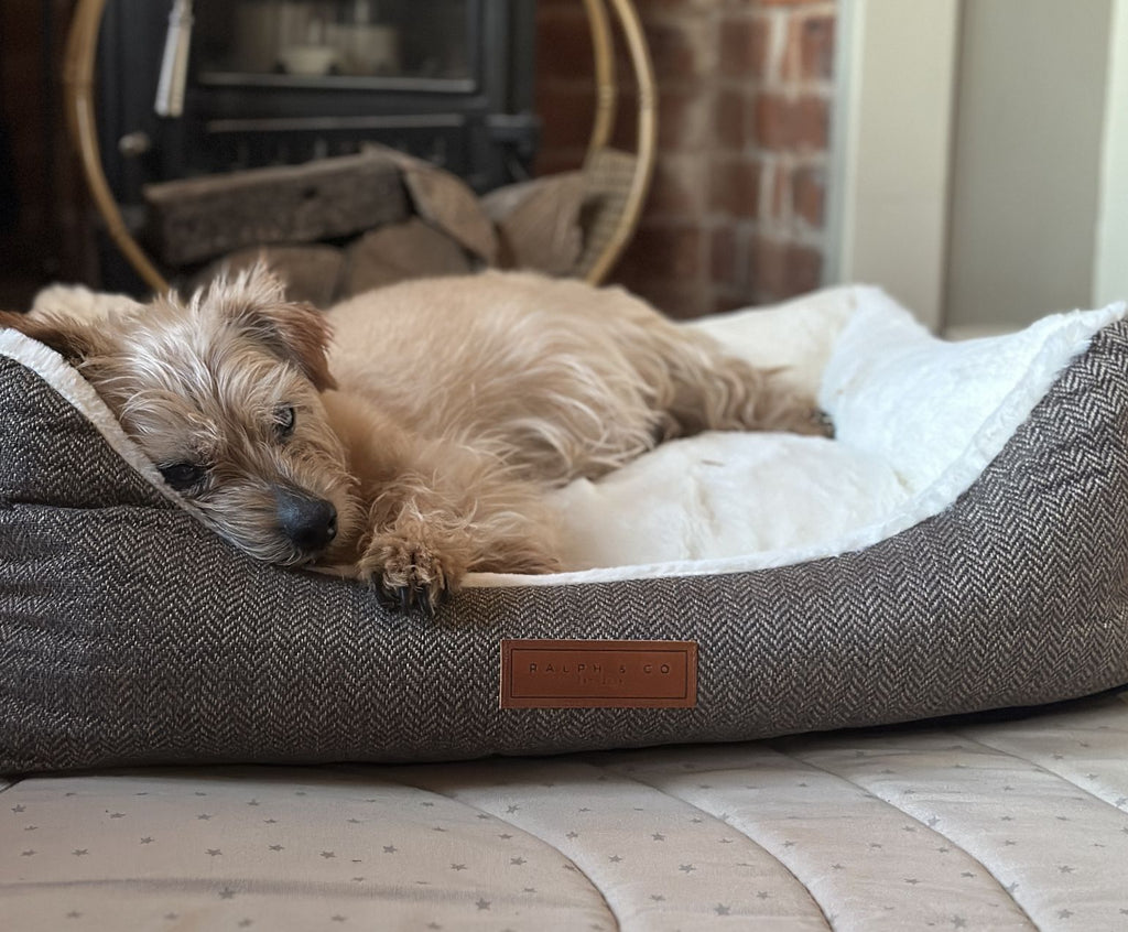 Lincoln Luxury Tweed Bolster Dog Bed – Ralph & Co Faux Fur Nest Bed
