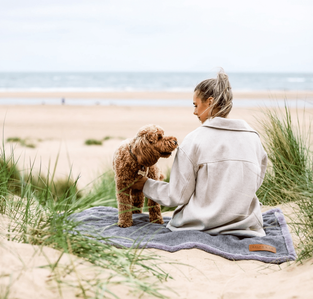 Woman and Cockapoo sitting on the Balmoral grey blanket in beach dunes