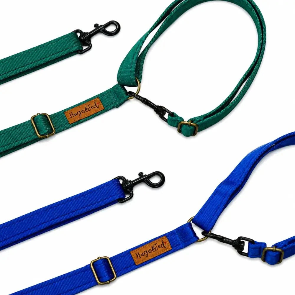 Multi-Way Hands-Free Waterproof Dog Leads in emerald and electric blue webbing