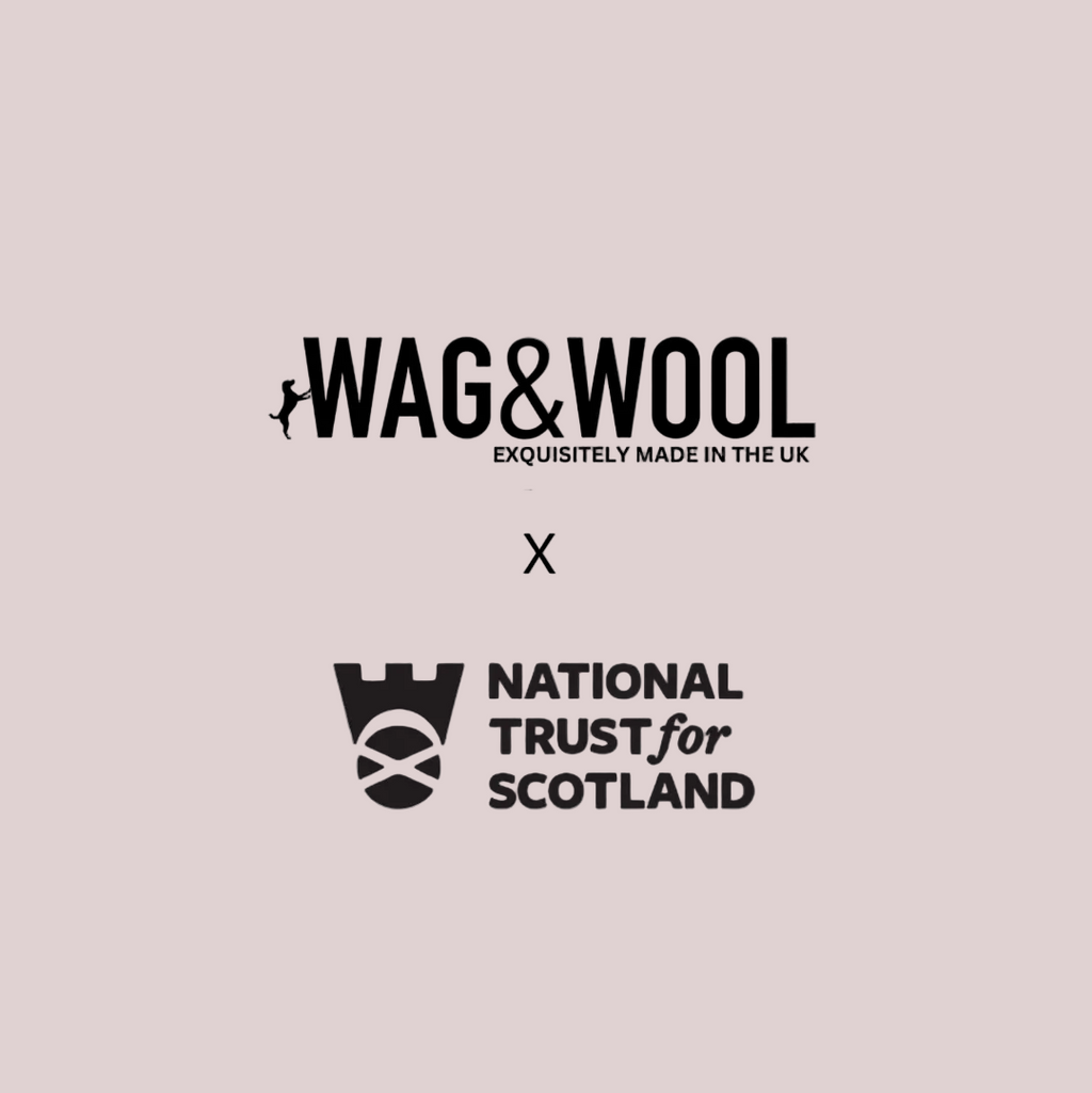 WAG&WOOL and National Trust for Scotland logos on a pale pink background
