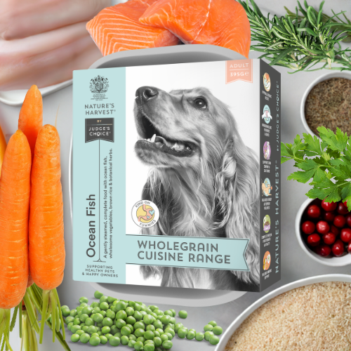 Nature's Harvest Salmon, White Fish & Brown Rice tray with spaniel, raw salmon, peas, carrots and cranberries