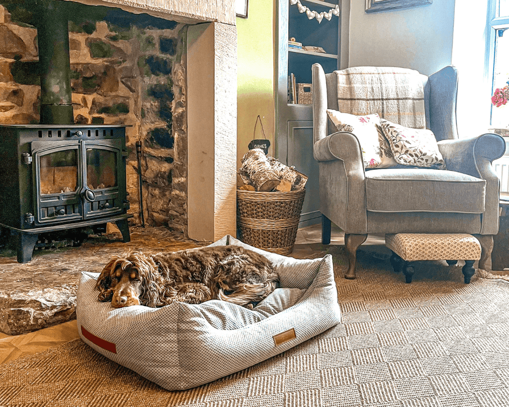 Brown and white spaniel asleep in the Highclere bed beside a wood burner