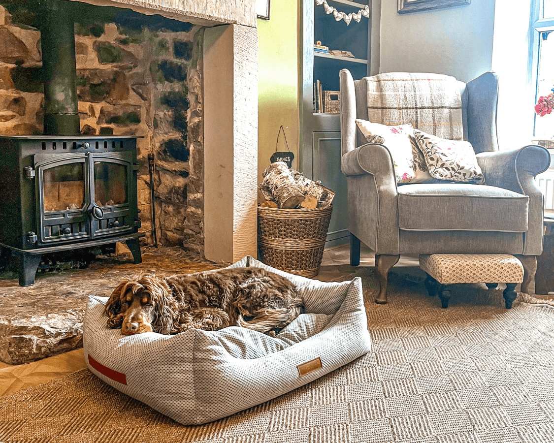 Brown and white spaniel asleep in the Highclere bed beside a wood burner