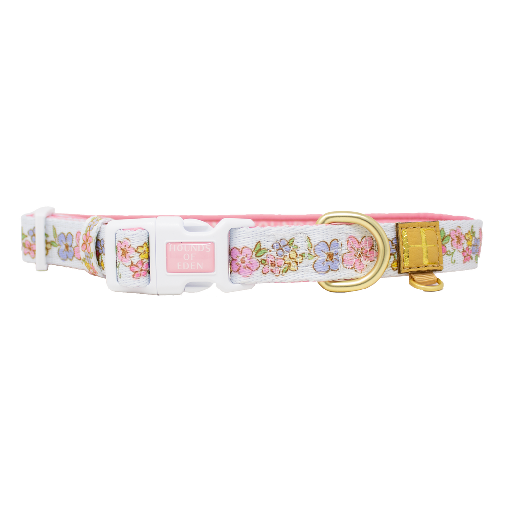 Matching pastel floral dog collar with white buckle and gold D-ring