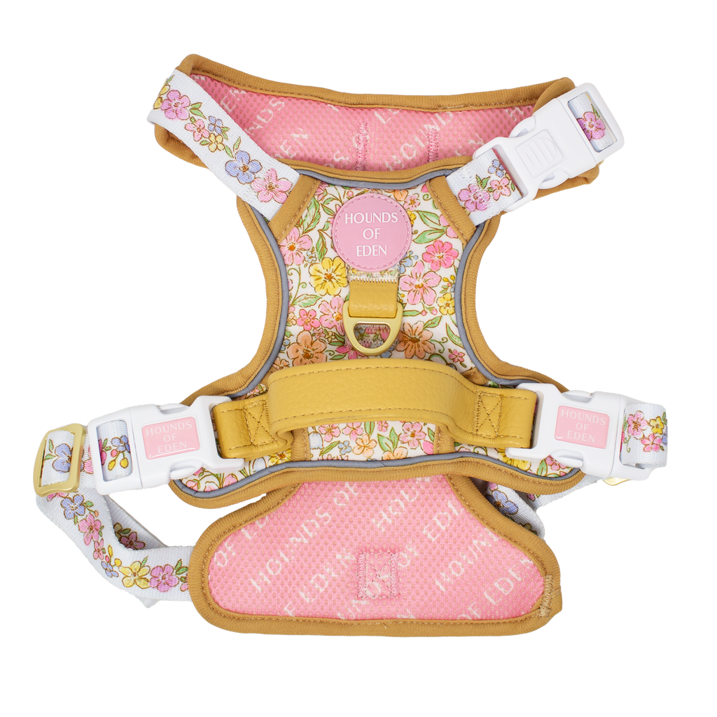 Back of the Supaw Strong harness showing tan grab handle and pink padded lining