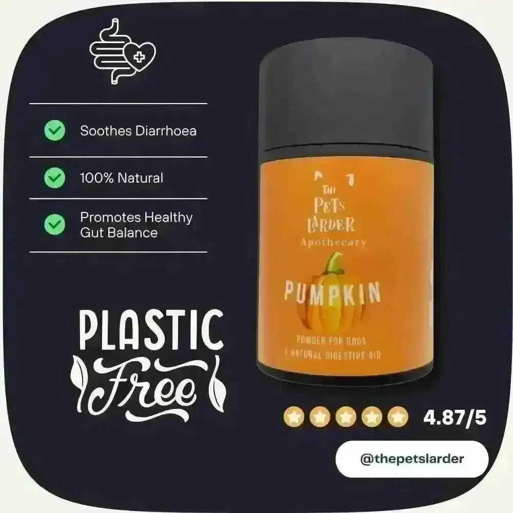 Pumpkin powder tub beside a plastic-free graphic