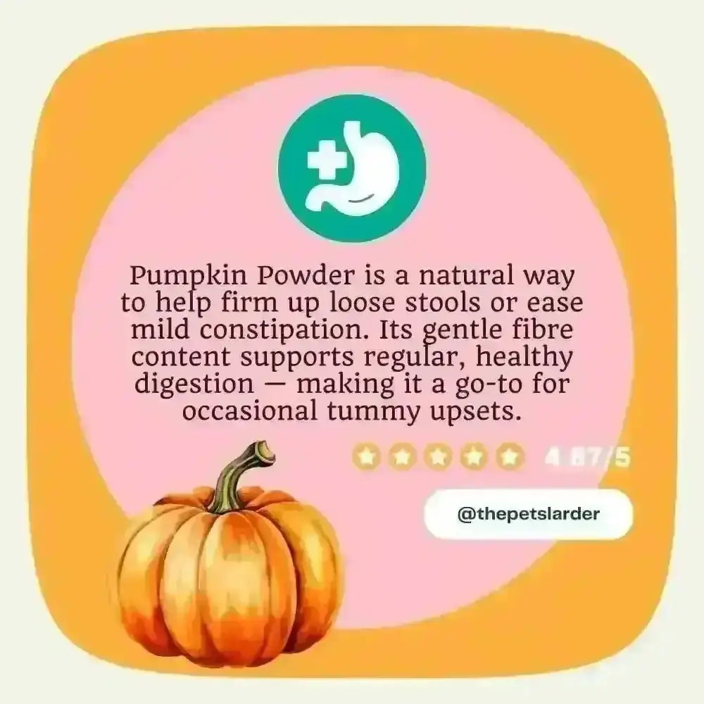 Text graphic about pumpkin powder with a watercolour pumpkin