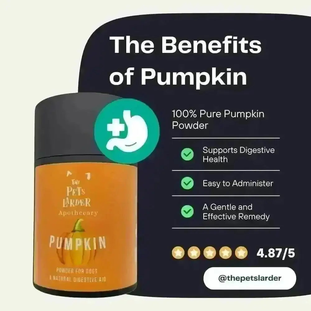 Pumpkin powder tub on a dark graphic with a benefits list and star rating