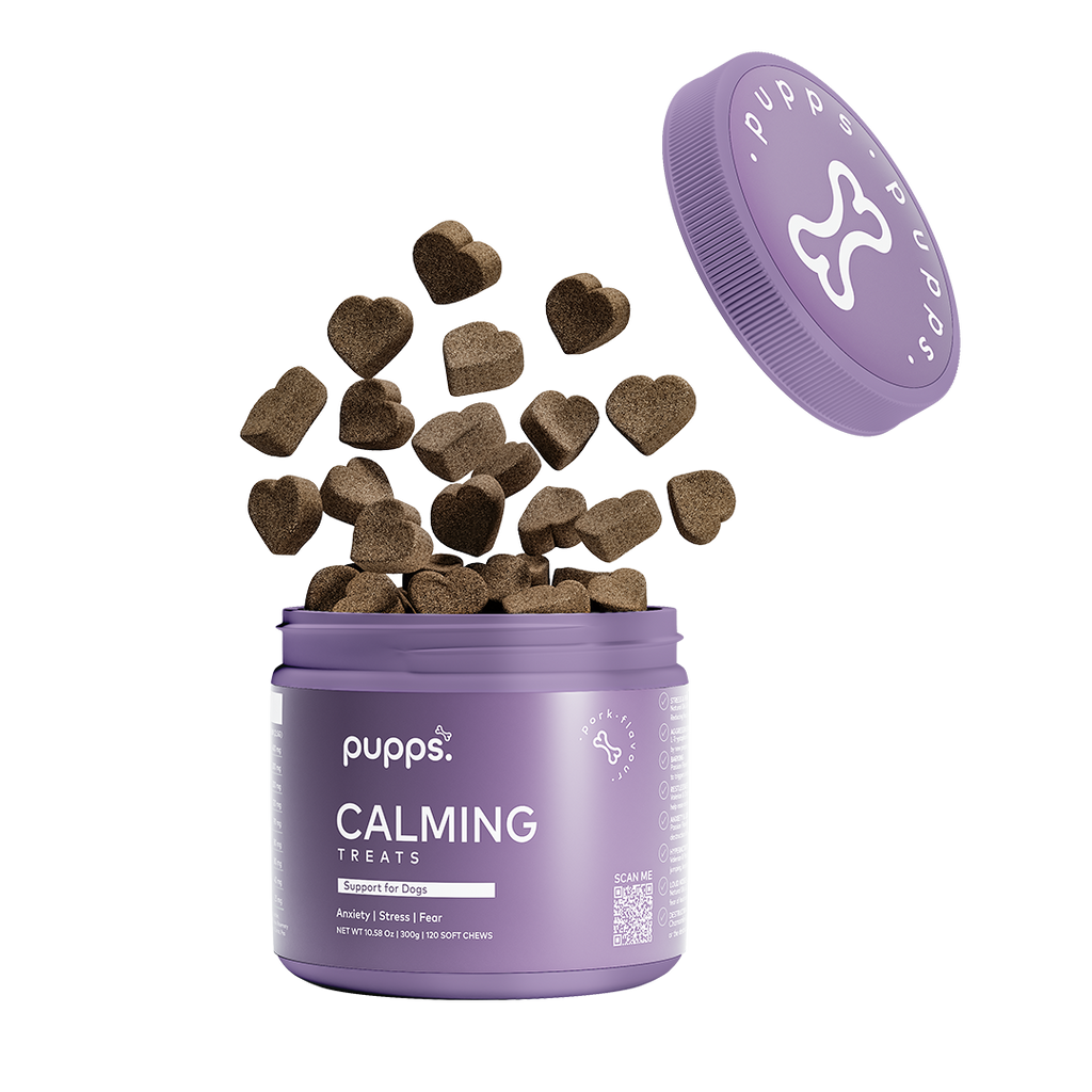 Open purple tub of Pupps chamomile soft chews with heart-shaped chews