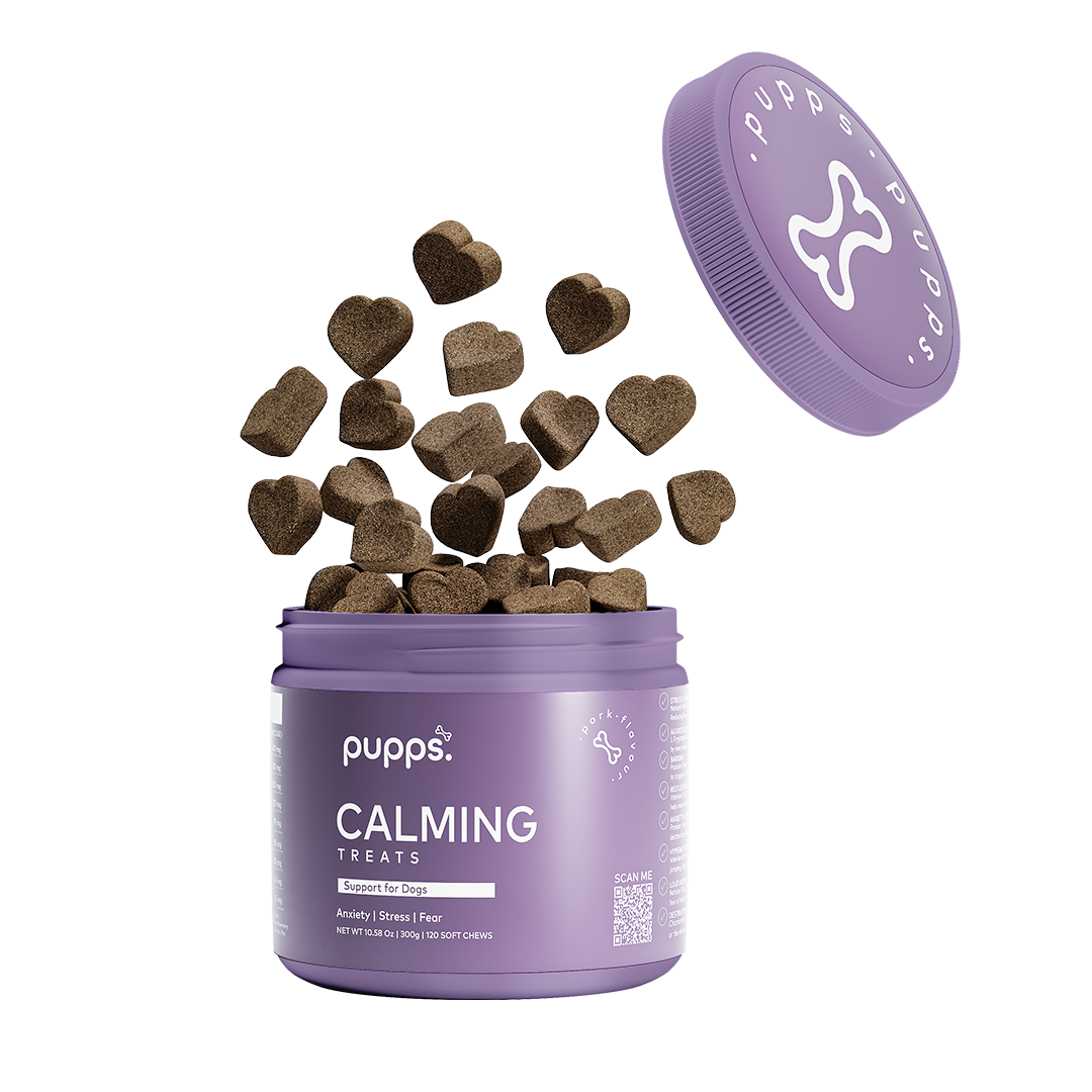 Open purple tub of Pupps chamomile soft chews with heart-shaped chews