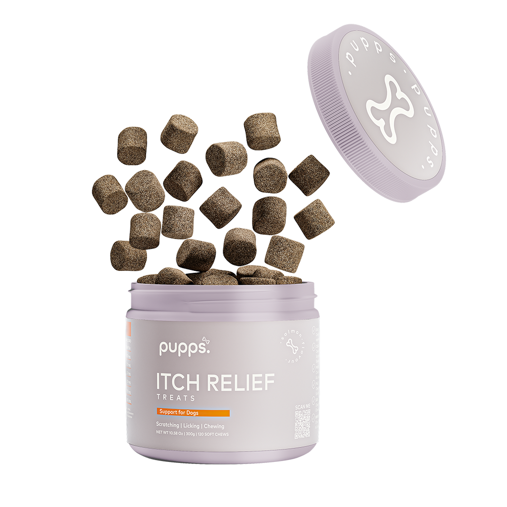 Open tub of Pupps skin and coat soft chews for dogs with chews spilling out