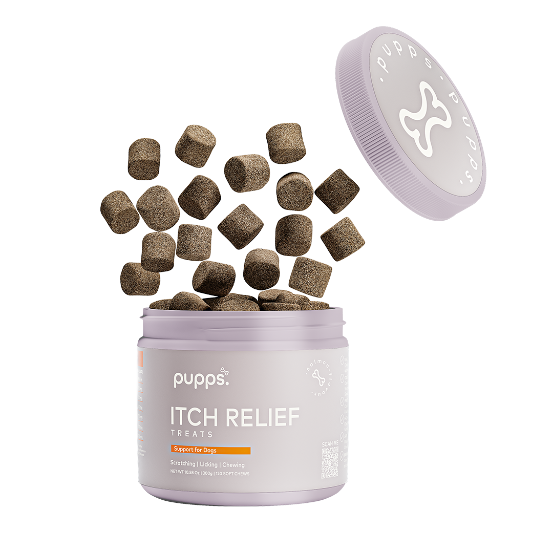 Open tub of Pupps skin and coat soft chews for dogs with chews spilling out