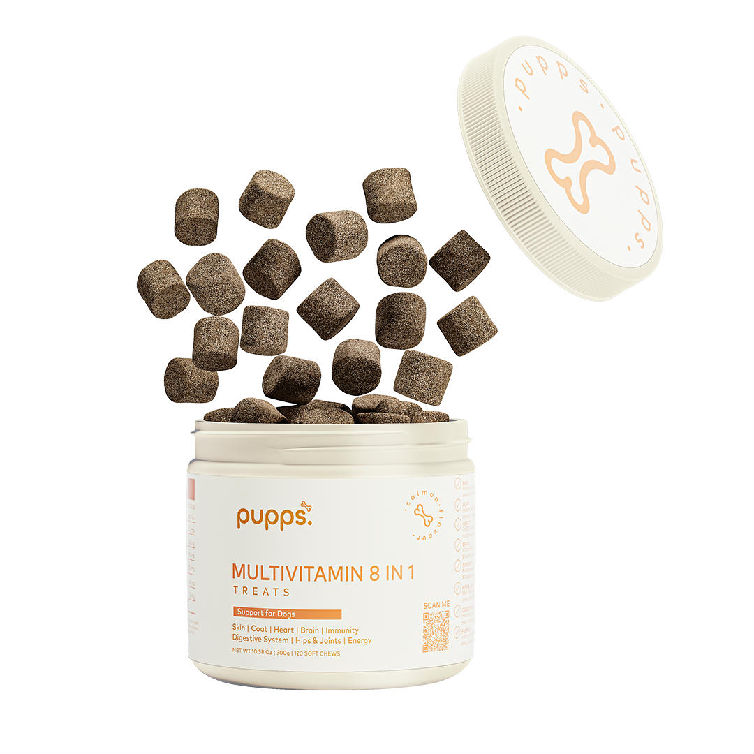 Pupps Multivitamin 8 in 1 cream tub with lid off and square brown soft chews tumbling out