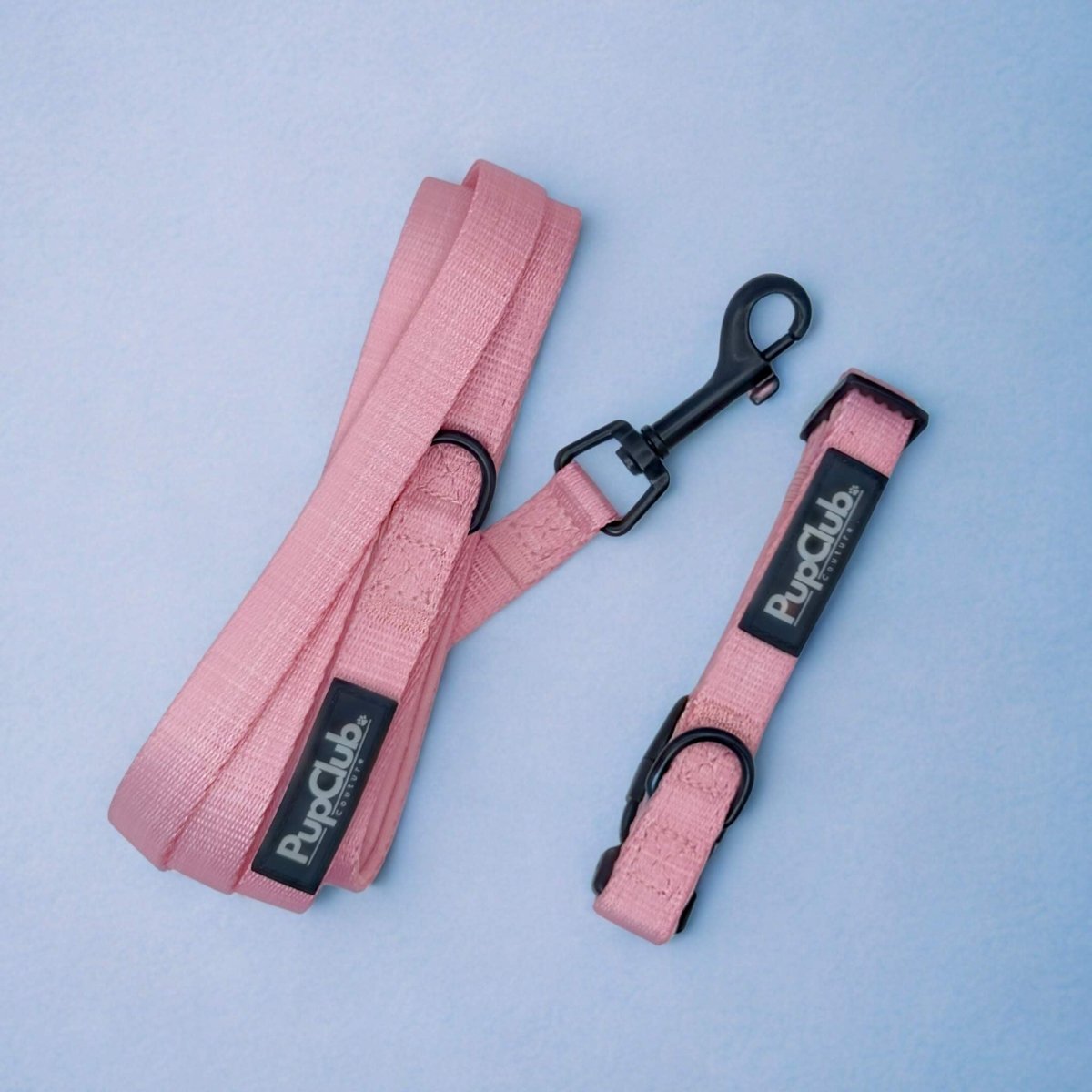 Pink Puppy Collar & Lead Set with padded handle lead and adjustable collar on blue