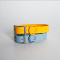 Yellow and sky blue coated webbing dog collars stacked, with matte silver buckles