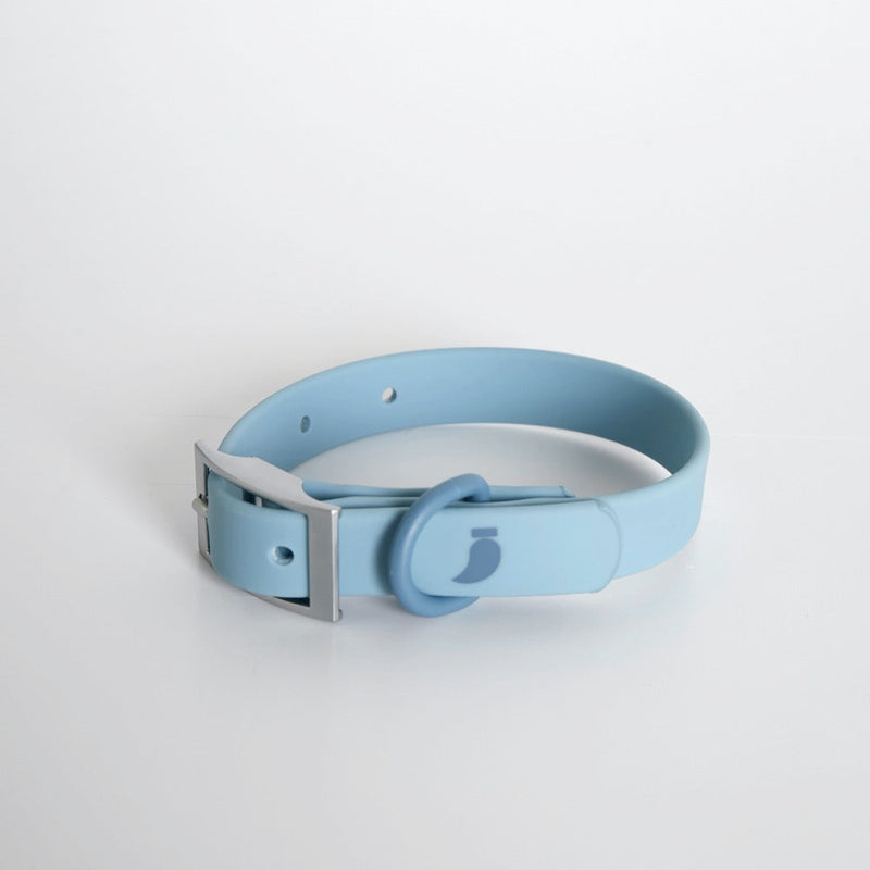 Sky blue coated webbing dog collar with matte silver buckle on white