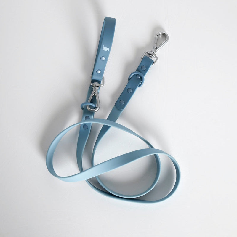 Sky blue coated webbing dog lead with silver clips coiled on white