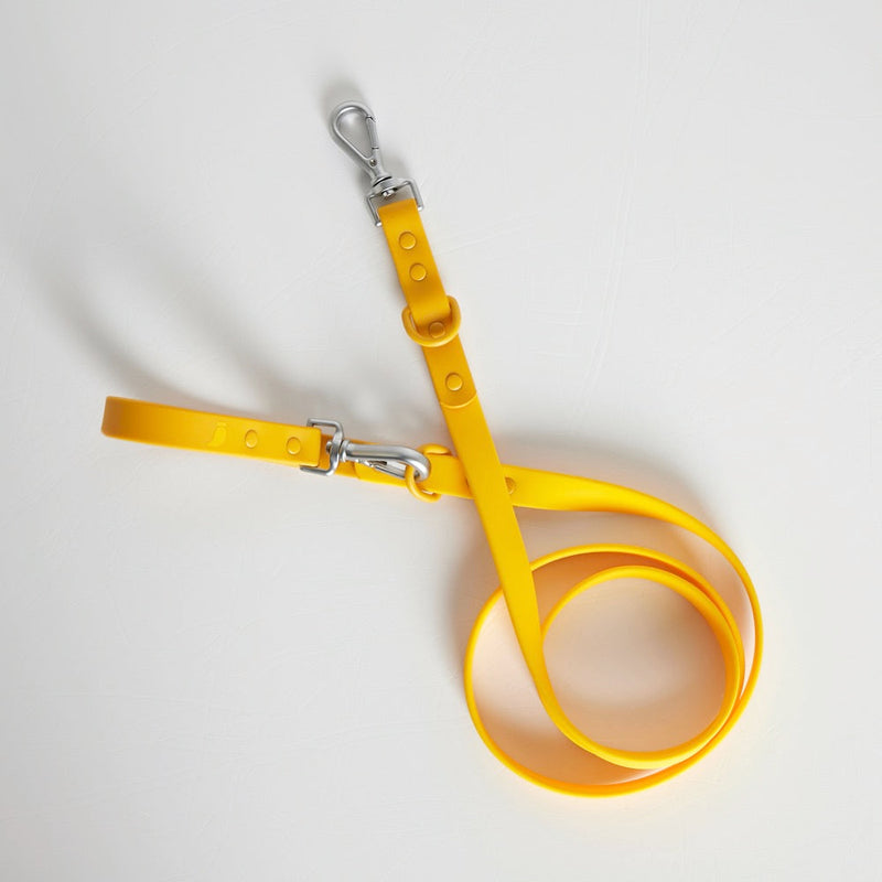 Yellow coated webbing dog lead with silver clips coiled on white