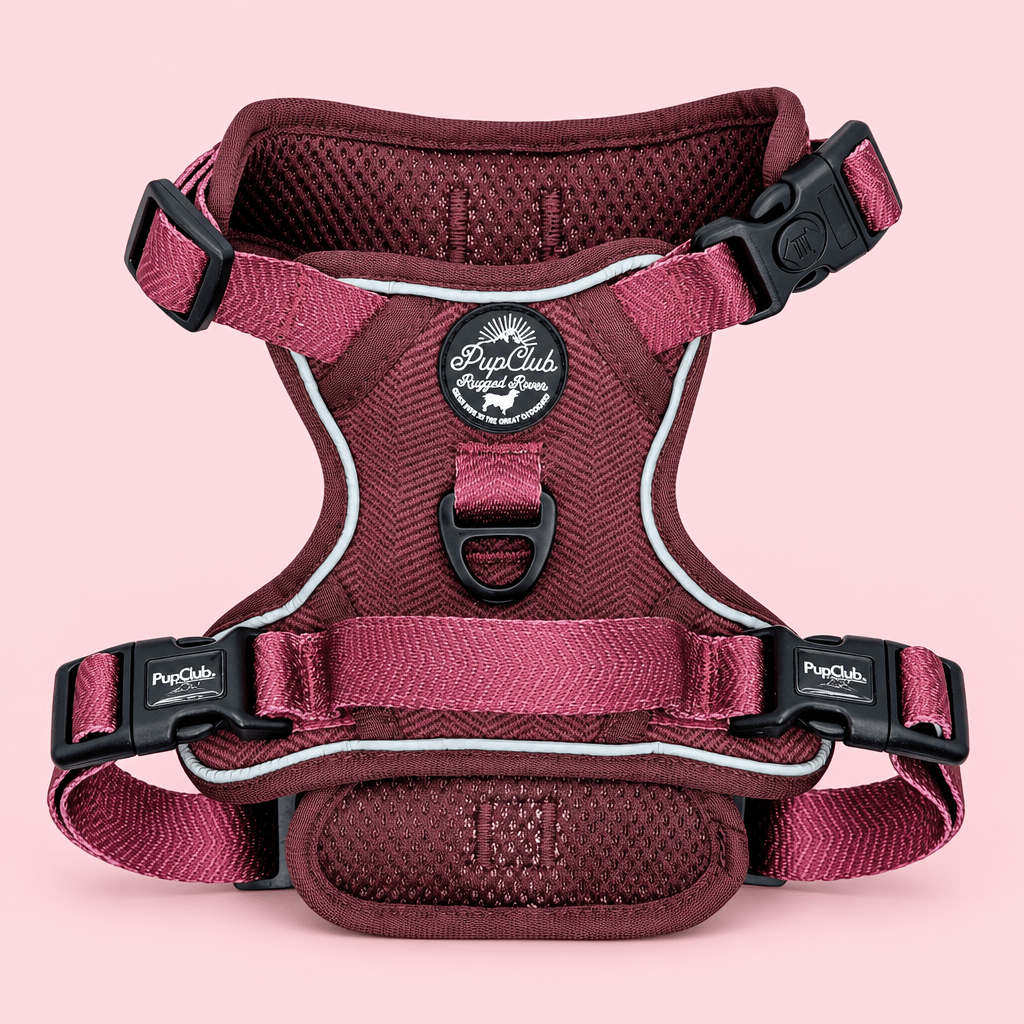 Underside of the Berry Tweed Rugged Rover Dog Harness showing the mesh lining and buckles