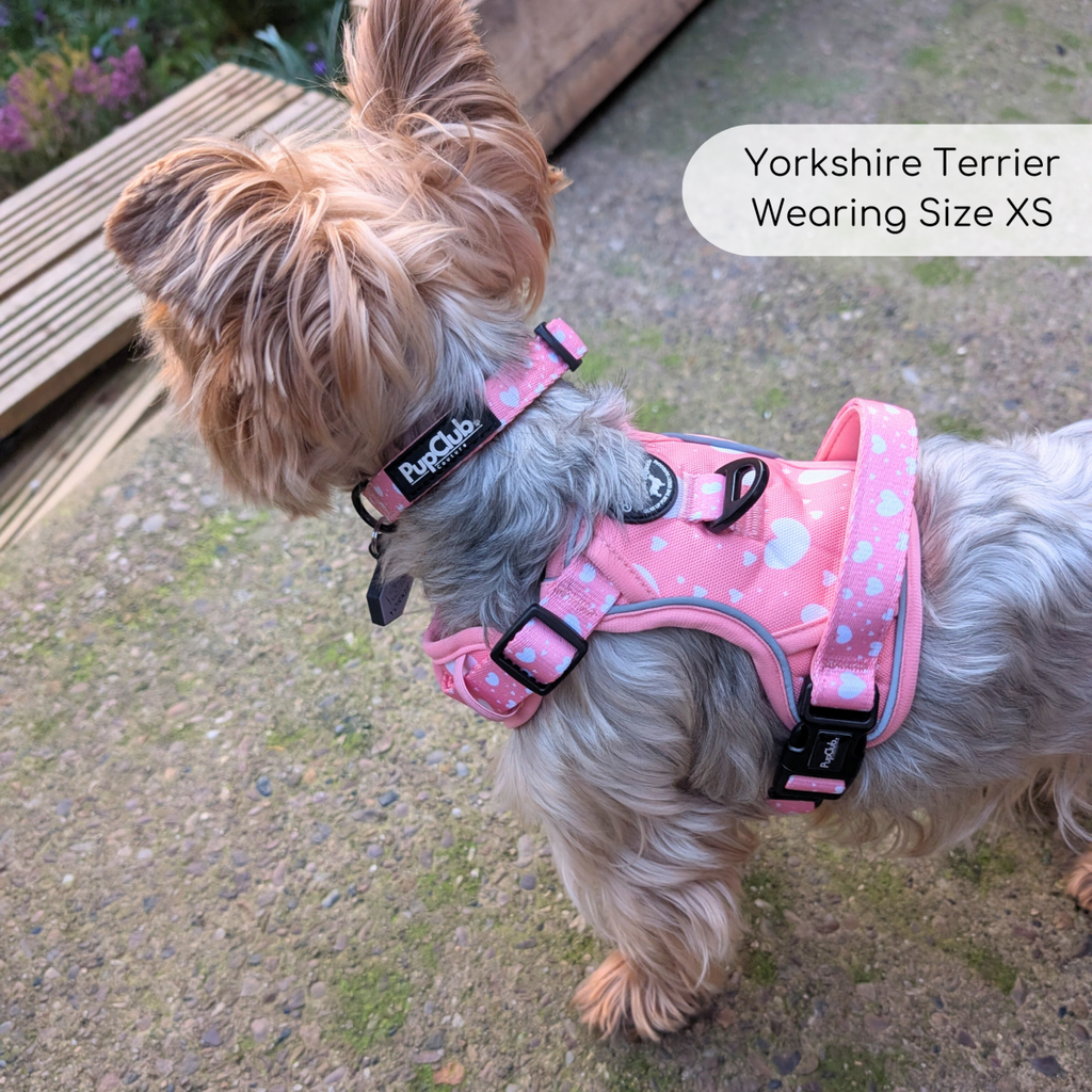 Rugged Rover No-Pull Dog Harness – Peachy Hearts