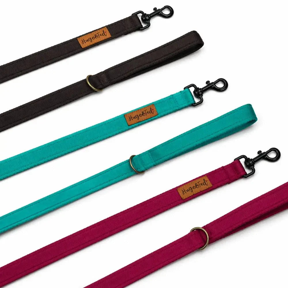 Waterproof Dog Leads in black, emerald and burgundy webbing with black trigger clips