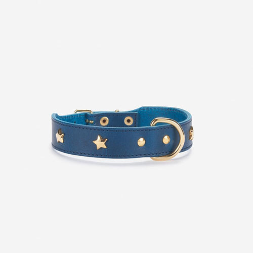 Blue leather dog collar with gold star studs and gold D-ring