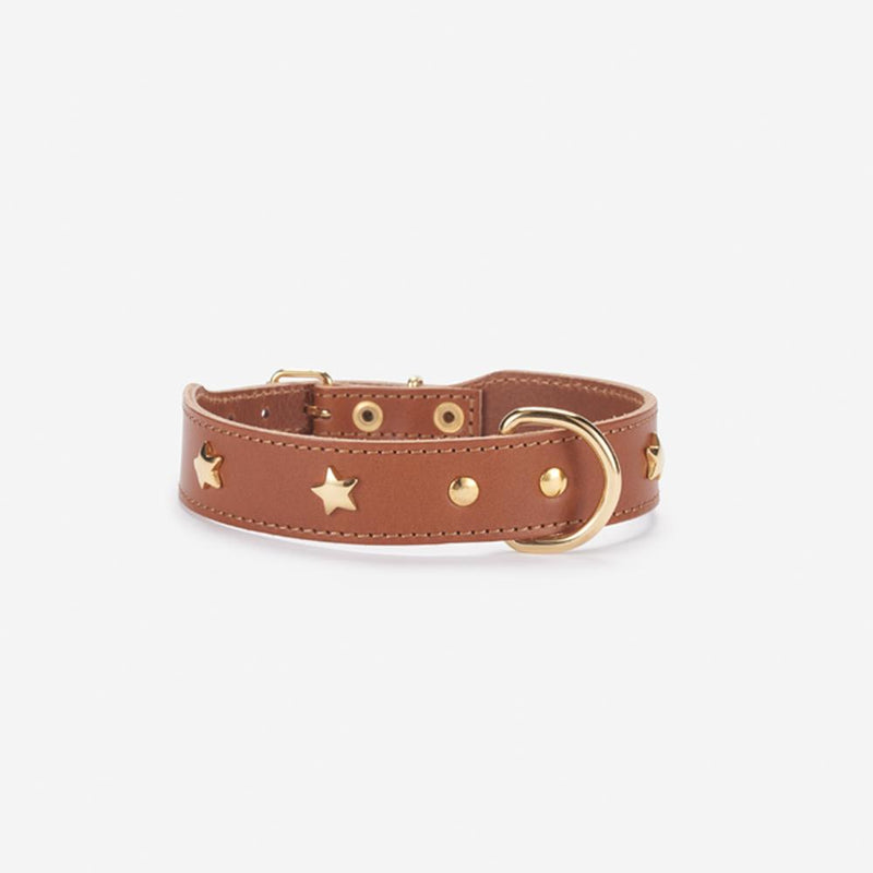 Brown leather dog collar with gold star studs and gold D-ring