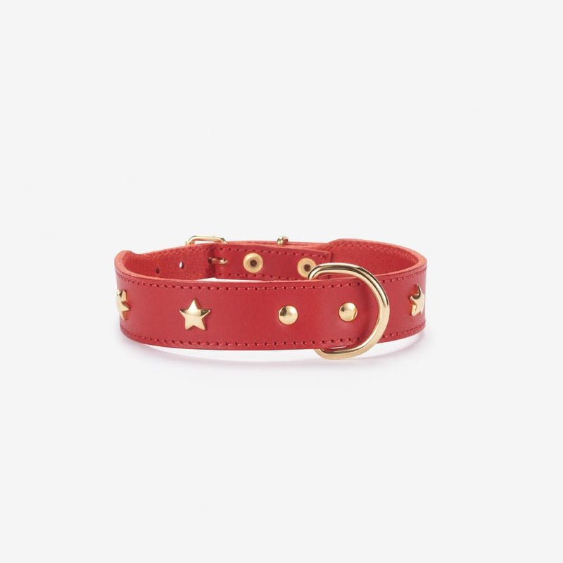 Red leather dog collar with gold star studs and gold D-ring