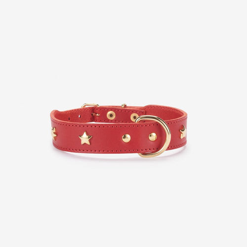 Red leather dog collar with gold star studs and gold D-ring