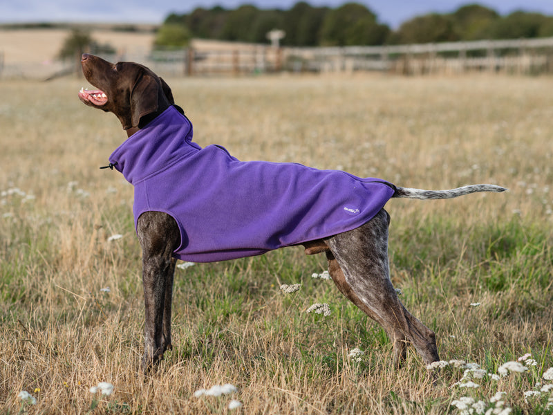 Cozy Fleece Dog Coat with Harness Hole – Purple