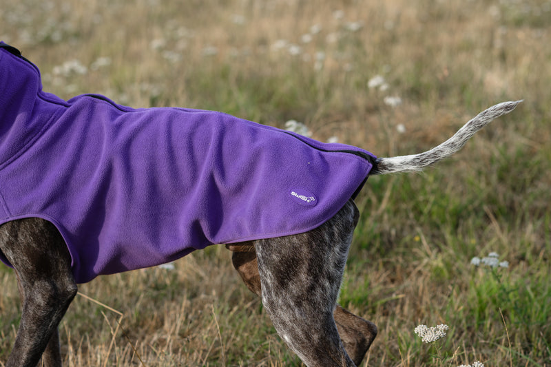 Cozy Fleece Dog Coat with Harness Hole – Purple