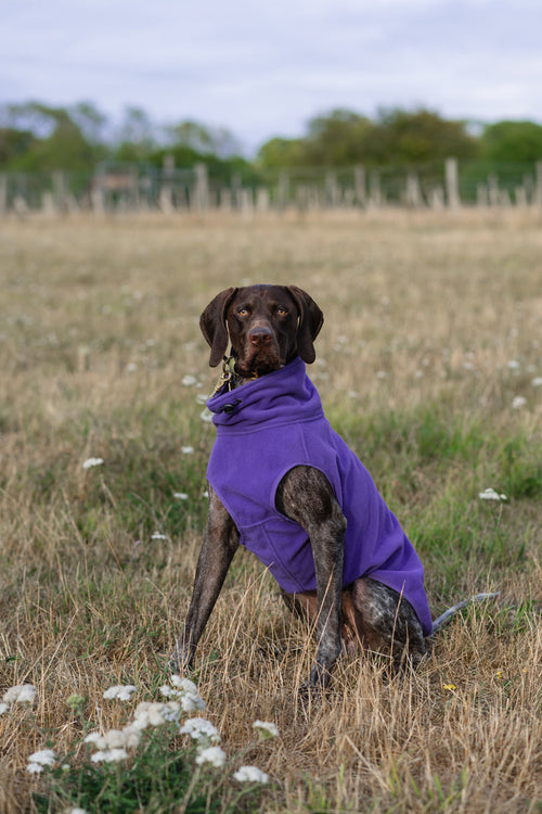 Cozy Fleece Dog Coat with Harness Hole – Purple