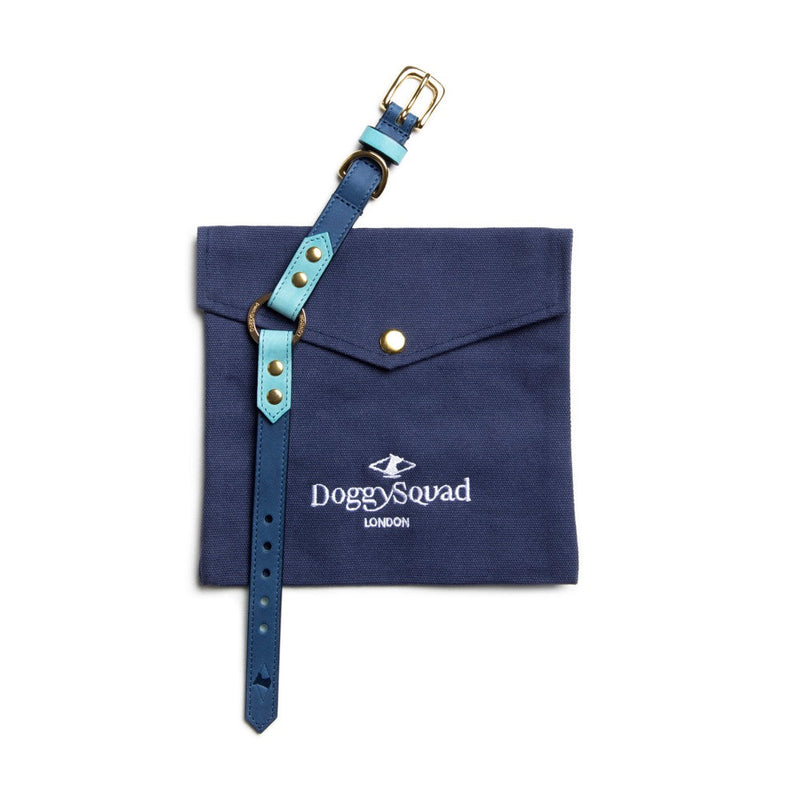 Royal blue leather dog collar with pale blue trim on a navy canvas pouch
