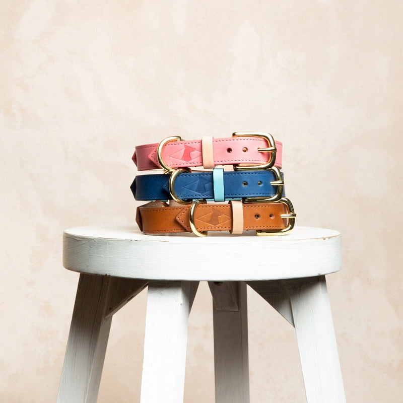 Stack of pink, royal blue and caramel leather dog collars on a white wooden stool