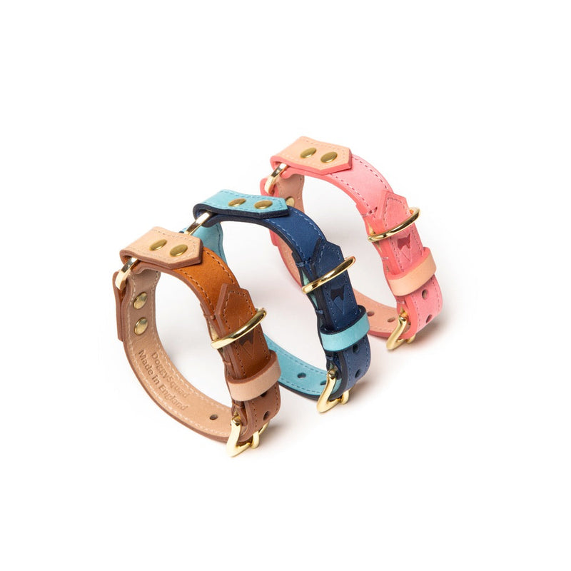 Caramel, royal blue and baby pink leather dog collars with natural leather trim and brass buckles