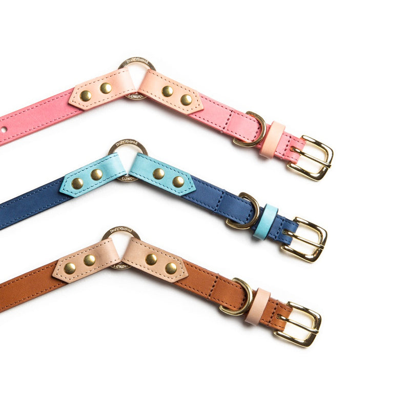 Pink, royal blue and caramel leather dog collars laid flat with brass rings and studs
