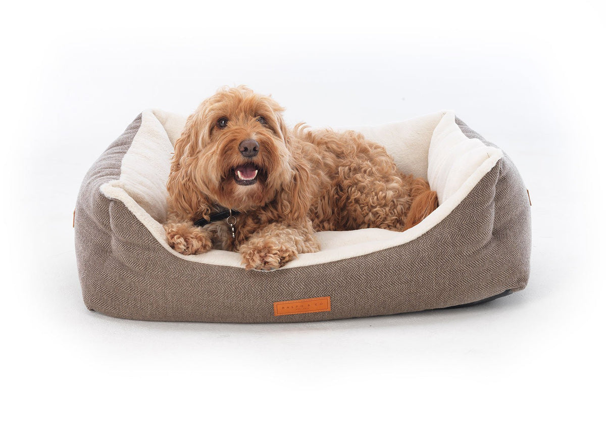 Smiling apricot Cockapoo lying in the Lincoln tweed bolster dog bed