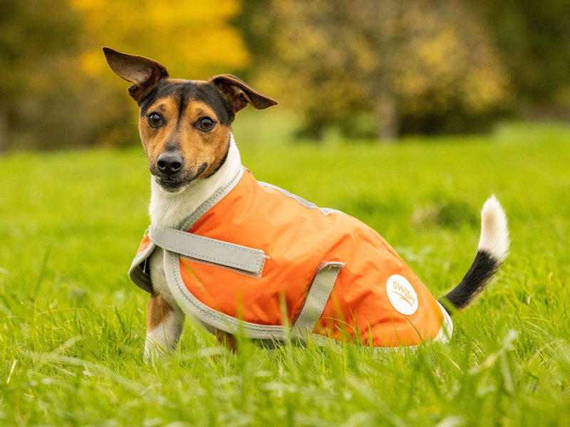 Classic Waterproof Dog Coat with Reflective Strips – Orange